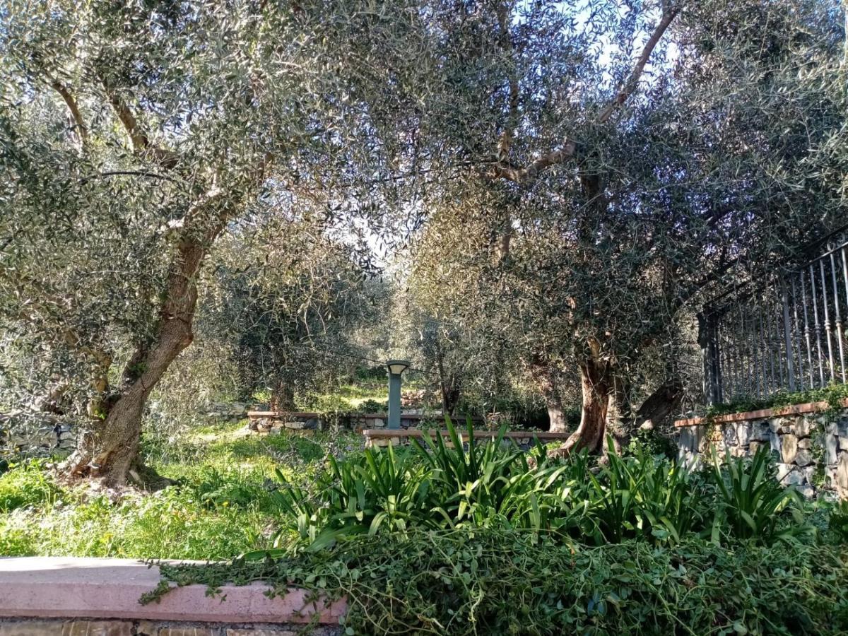 Ferienwohnung Agrisport Ca Di Cuni Roncagli Exterior foto