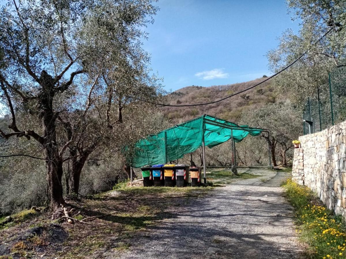 Ferienwohnung Agrisport Ca Di Cuni Roncagli Exterior foto